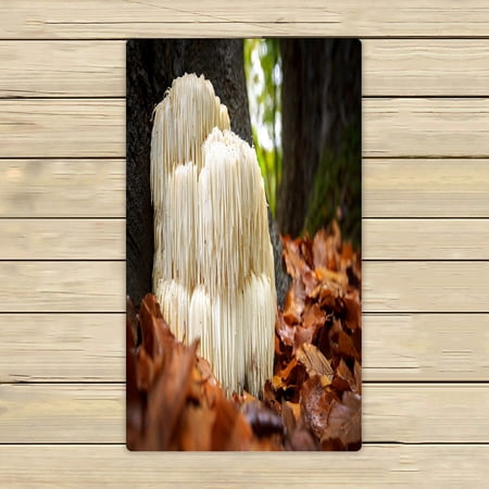 ABPHQTO The Rare Edible Lion'S Mane Mushroom Towels,Beach Bath Pool Sprot Travel Hand Spa Towel 16x28 Inch