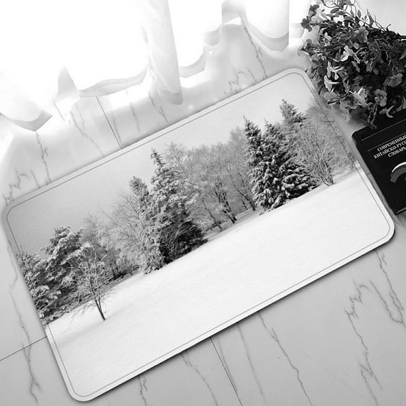 ABPHQTO The Winter Trees At Park Doormat Entrance Rug Area Rug Floor Mat Home Decor 30x18 Inch