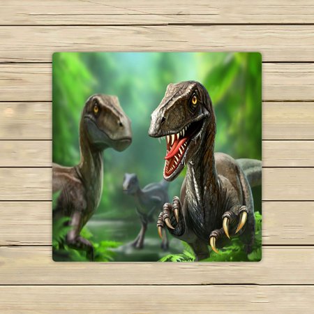ABPHQTO Three Dinosaurs Velociraptors Nature Towels Beach Bath Pool Sprot Travel Hand Spa Towel 13x13 Inch