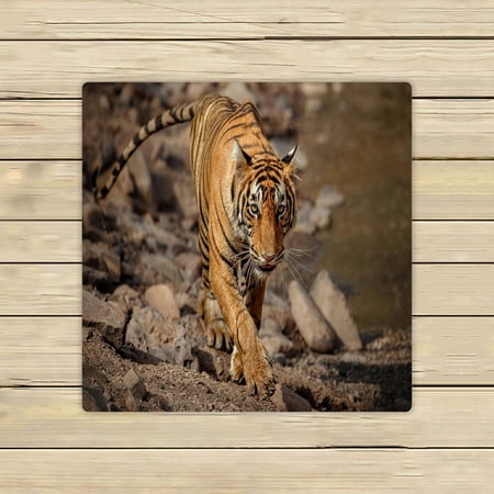 ABPHQTO Tiger In The Nature Habitat Towels Beach Bath Pool Sprot Travel Hand Spa Towel 13x13 Inch