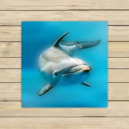 ABPHQTO Tursiop Dolphin Portrait Eye Ocean Towels Beach Bath Pool Sprot Travel Hand Spa Towel 13x13 Inch