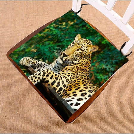 ABPHQTO View Nice Leopard Cat Chair Pad Seat Cushion Chair Cushion Floor Cushion Two Sides Printing 18x18 Inch