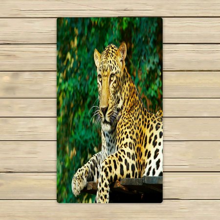 ABPHQTO View Nice Leopard Cat Towels Beach Bath Pool Sprot Travel Hand Spa Towel 16x28 Inch