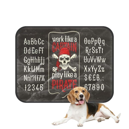 ABPHQTO Vintage Latin Alphabet Of Letters Numbers Pirate Skull Pet Dog Cat Bed Pee Pads Mat Cushion Potty Dogs Blankets Crate Bed Kennel 28x36 inch