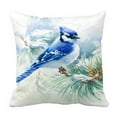 thumbnail image 1 of ABPHQTO Watercolor Bird Blue Jay Winter Christmas Pillow Case Pillow Cover Pillow Protector Two Sides For Couch Bed 20x20 Inch, 1 of 1