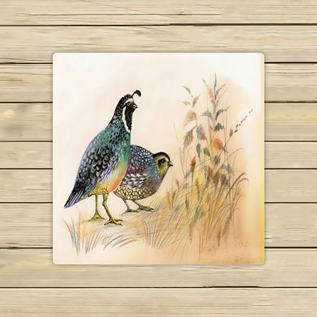 ABPHQTO Watercolor Common Quails Towels Beach Bath Pool Sprot Travel Hand Spa Towel 13x13 Inch