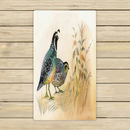 ABPHQTO Watercolor Common Quails Towels Beach Bath Pool Sprot Travel Hand Spa Towel 16x28 Inch