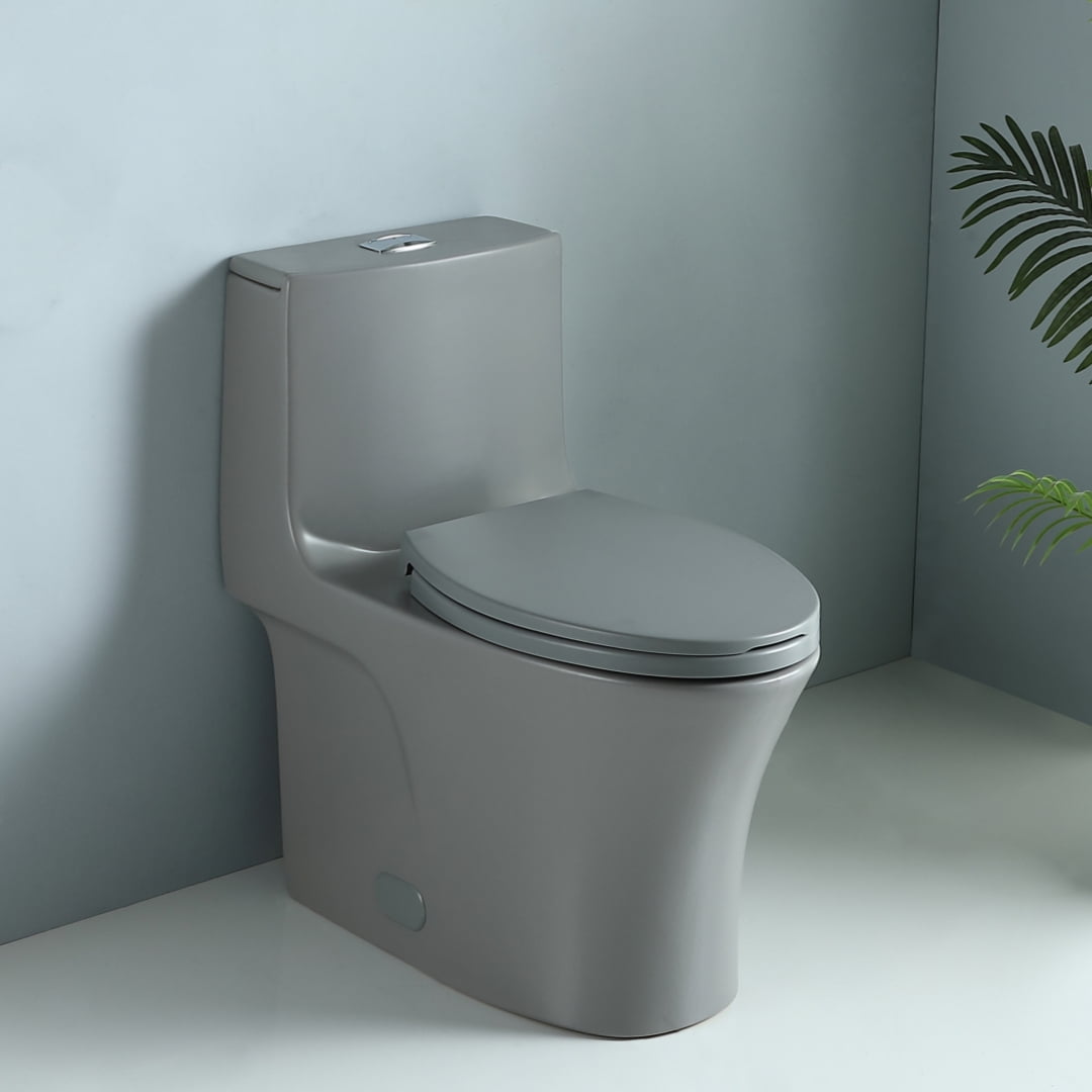 Light Gray Elongated Dual Flush One-Piece Toilet with Soft Closing Seat