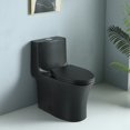thumbnail image 1 of ABRUZZO One-Piece Toilet, 1.1/1.60 GPF Water-Efficient Dual-Flush Elongated Comfort Height Floor Mounted, Standard-Size Toilet with Soft Closing Seat Included, 23T02-Matte Balck, 1 of 15