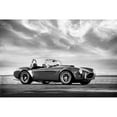 thumbnail image 1 of AC Shelby Cobra Poster Print by Mark Rogan   RGN115639, 1 of 1