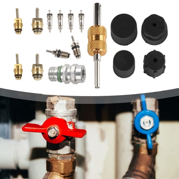 AC Valve Core Kit for R12 and R134a Systems with Removal Tool Brass Refrigeration Valve Stem Cores for Automotive Air Conditioning Repair