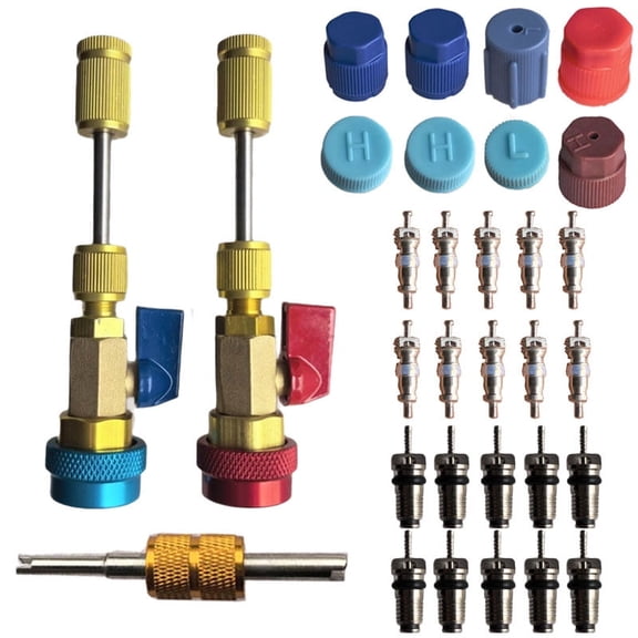 AC Valve Core Remover & Installer Kit, Professional Low Pressure R134A Valve Removal Tool With Service Port Caps (Complete Set)