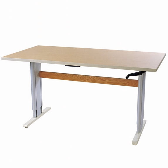 ACCELLA Computer Workstation and Activity Table -DS