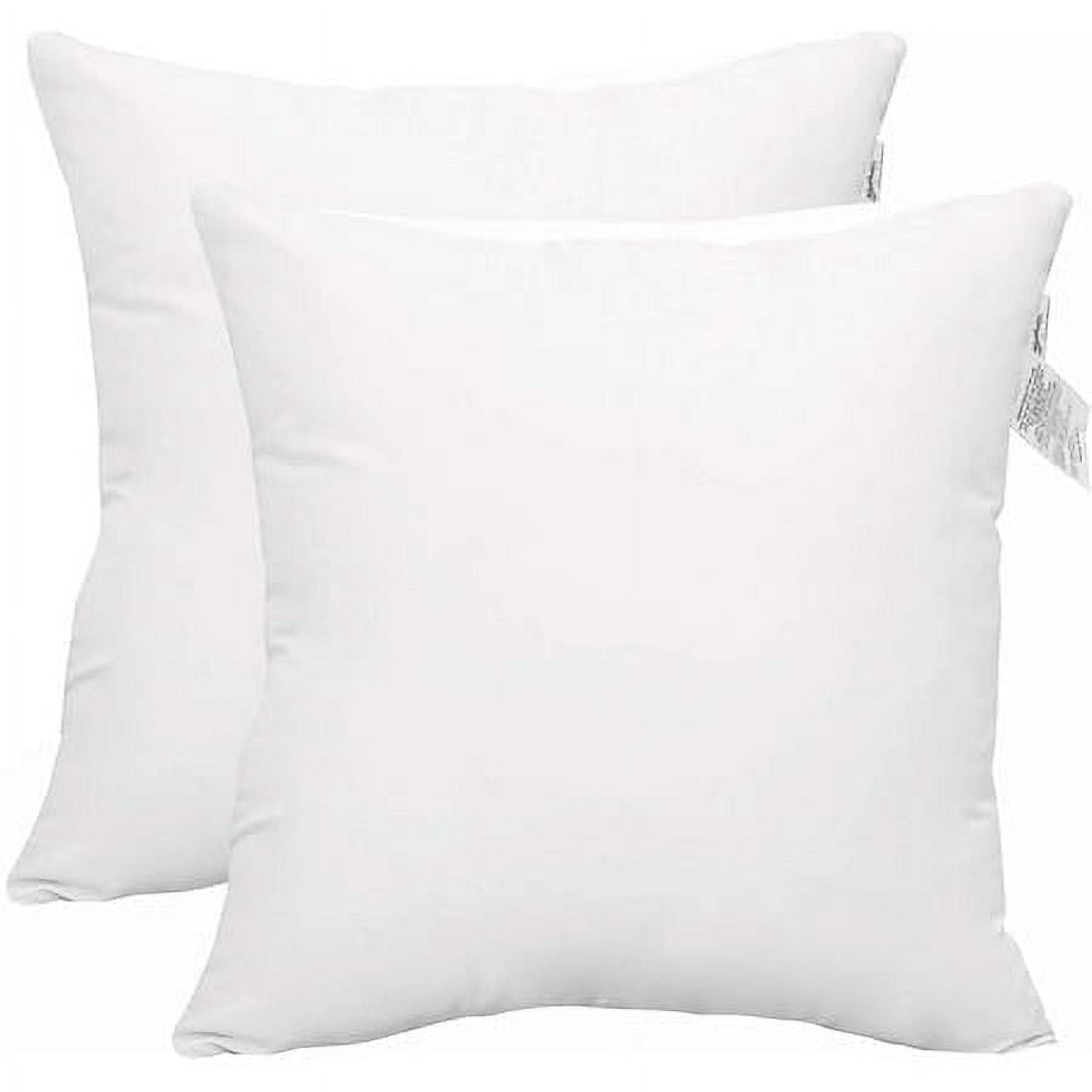ACCENT HOME 22 x 22 Pack of 2 Piece Hypoallergenic Square Form Throw Pillow Inserts Couch Sham Cushion Stuffer