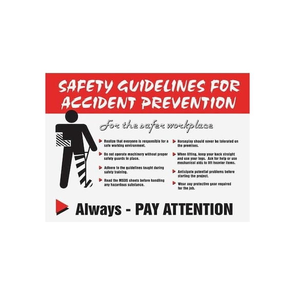 Accuform Poster,17 in x 22 in,Plastic SP124473L
