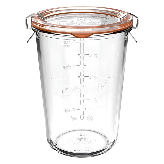 ACDANC 1 Pc Canning Jars,800Ml Sourdough Starter Jars with Lids Per Jar (Glass Sealing Lid),Wide Mouth Airtight Glass Storage Containers for Pickles,Yogurt,Pasta,Cereal,Large