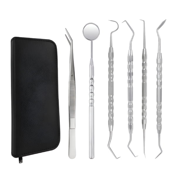 ACDANC 1 Set of 6Pcs Dentist Mouth Tool Cleaning Tools Stainless Steel Teeth Scaler Probe Oral Care Kit