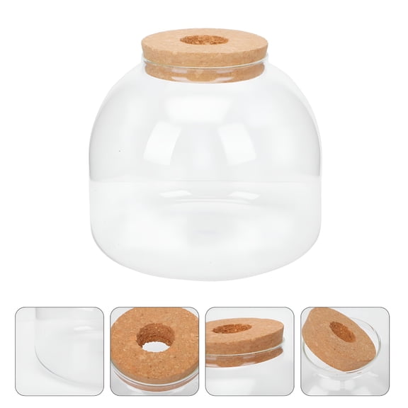ACDANC 1 Set of Glass Terrarium Container DIY Ecological Plant Bottle