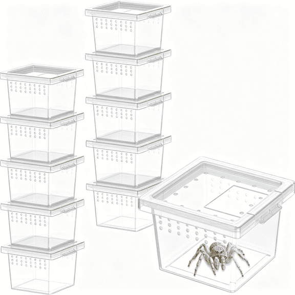ACDANC 10 Pcs Mini Spider Terrarium Breeding Box, Transparent Plastic Jumping Spider Enclosure Cricket Keeper Tarantula Enclosure, Small Reptile Hatching Container for Scorpion Centipede