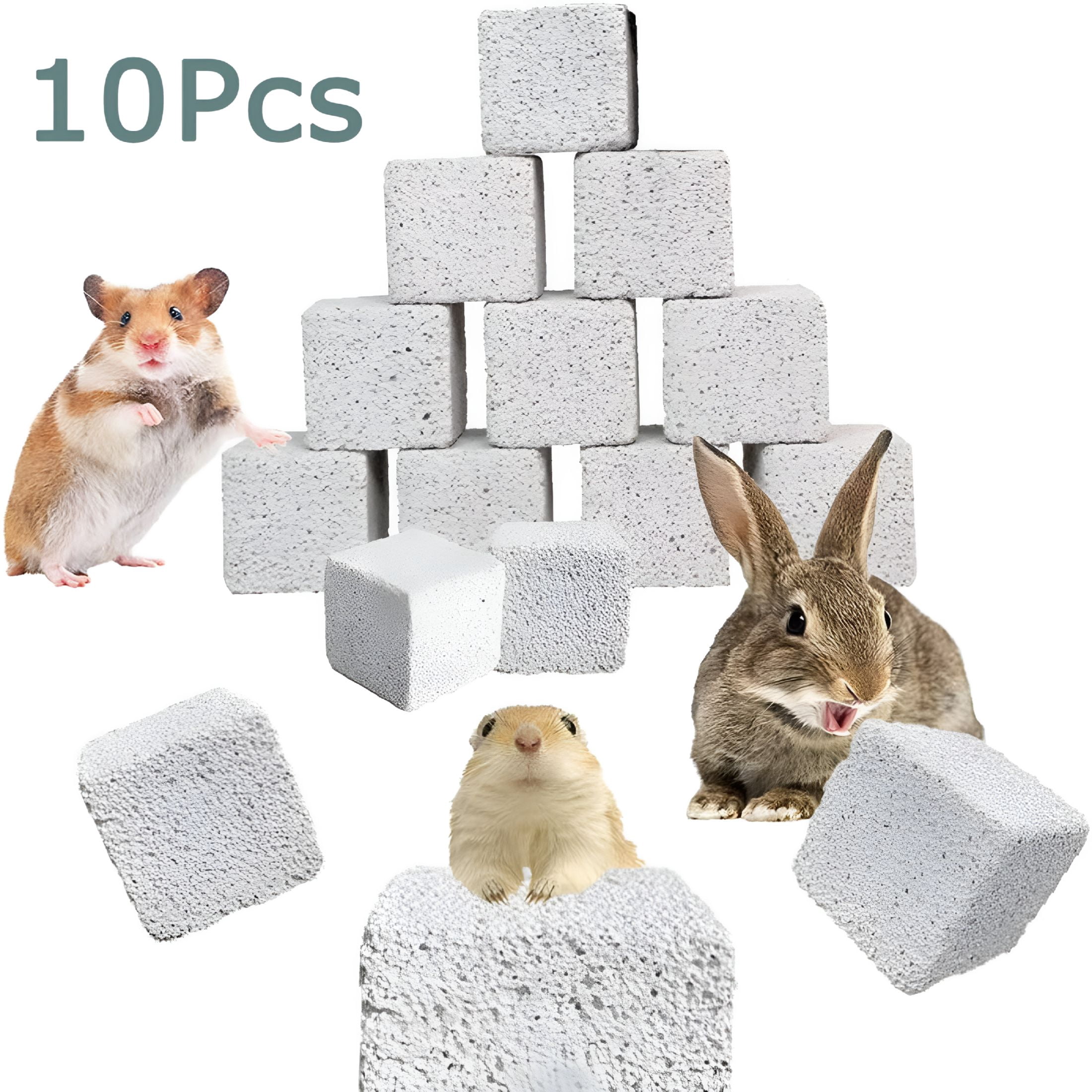 Acdanc Rabbit ACDANC 10 Pcs Rabbits Blocks 1 18 Bunny Teeth Grinding Stone Small ...