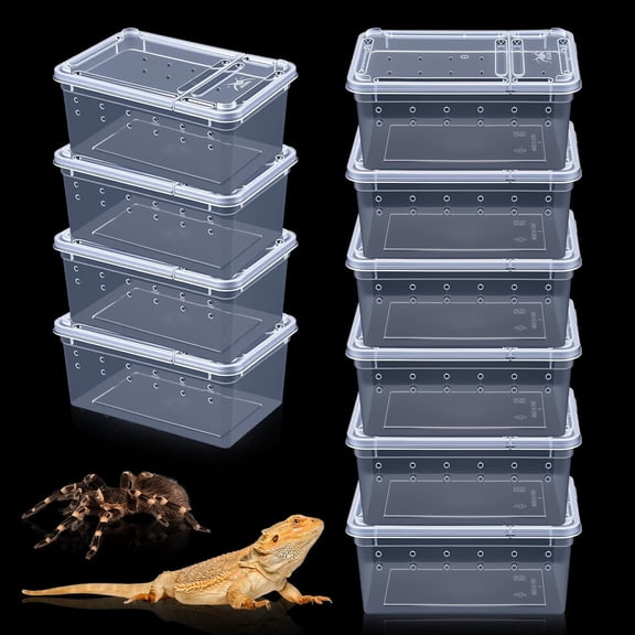 ACDANC 10 Pcs Reptile Breeding Box, Clear Plastic Terrarium with Vent Holes, Small Animal Enclosure for Spider Scorpion Lizard Insect, 5.9X3.9X2.55 Inch with Vent Holes Reptile Enclosure