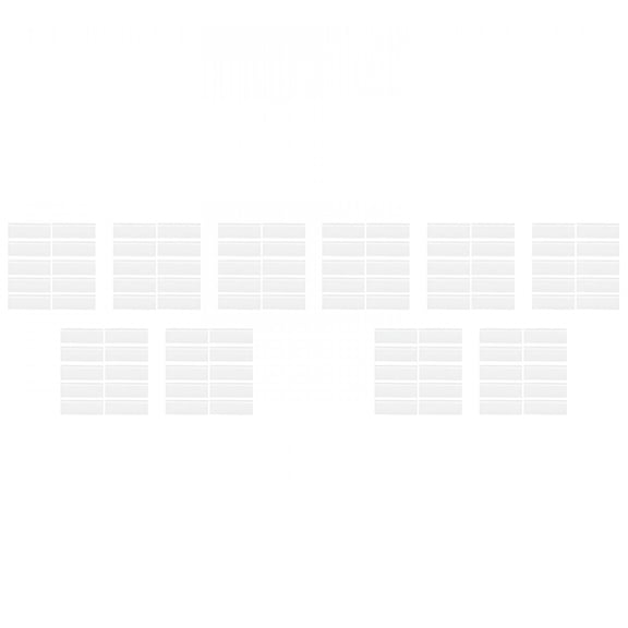 ACDANC 100 Window Fly Traps Sticky Non-Toxic Clear Fly Paper Indoor for Home. No Mess Flies Window Sticky Traps Bug Flies Strips Indoors. Fruit and Housefly Trap Indoor Flypaper Tape