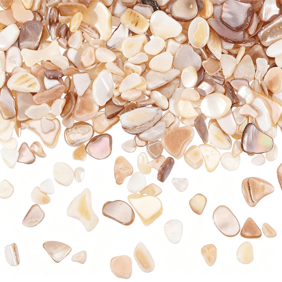 ACDANC 1000G/2.2Bl Natural Crushed Shells Chips,3-9Mm Irregular Seashell Fragments,Sea Shell Pieces for Diy Crafts,Vase Filler,Home Dcor,Art Projects,Beige Mosaic Decoration