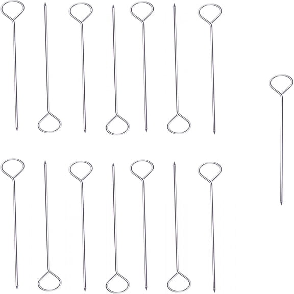 ACDANC 15 Pcs 6 Inch Turkey Lacers for Trussing Turkey Stainless Steel Silver Meat Roasting Trussing Needles Poultry Grilling Supplies for Barbecue BBQ Cooking Kitchen Chicken Roast Supplies (6 Inch)