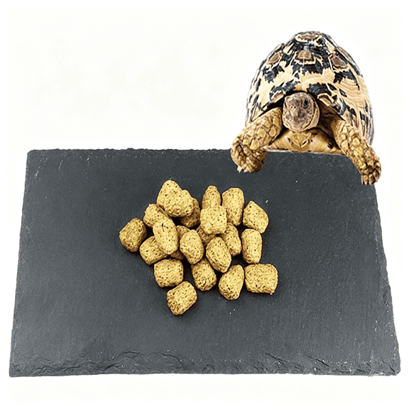 ACDANC 2 Pack Reptile Basking Platform 11.8 6" + 4", Reptile Slate, Basking Rock, Slate Tiles Rocks for Reptiles,Terrarium Bowls for Bearded Dragon Tortoise Turtle Ball Python Snake Lizard Gecko