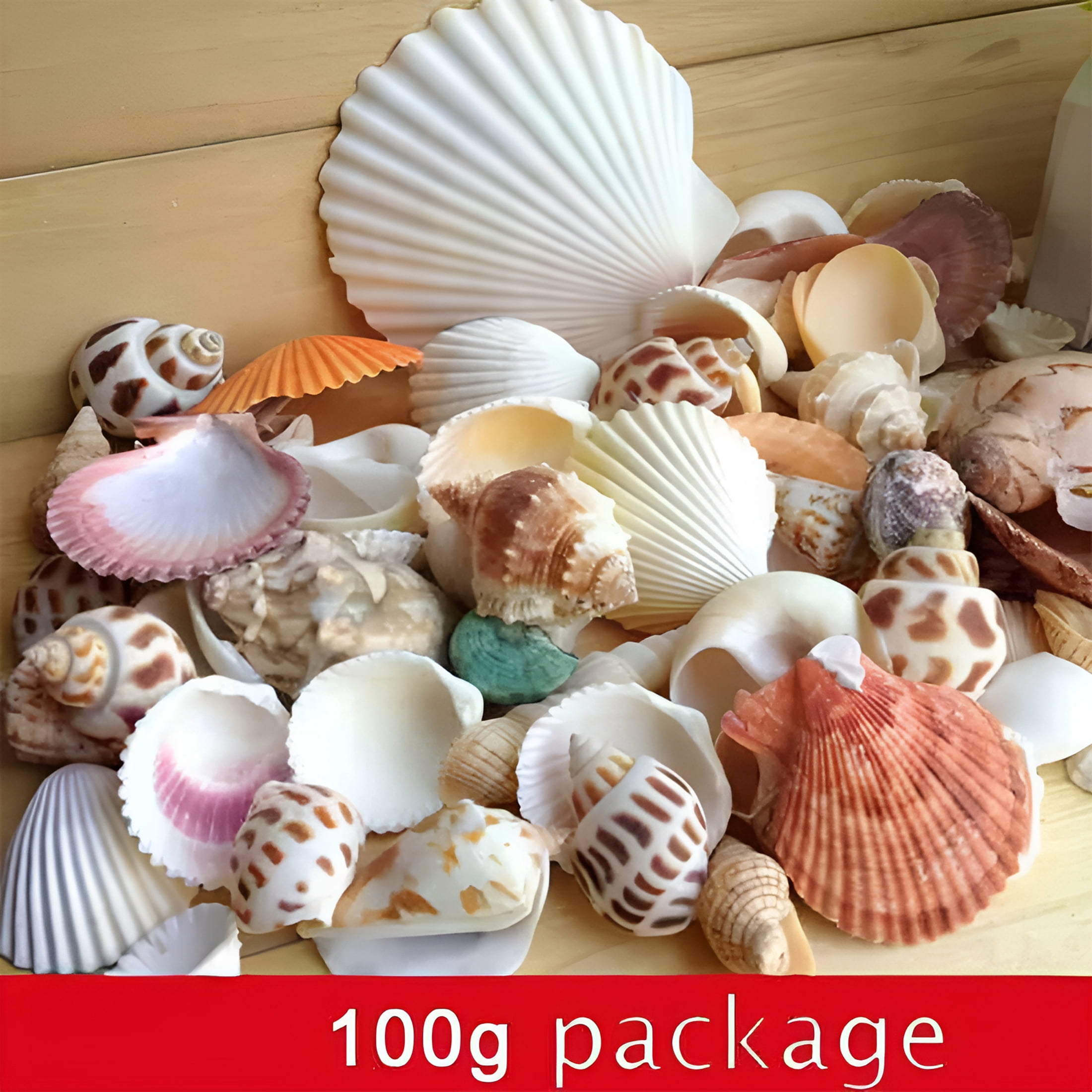BESTSKY 100G Mixed Sea Shells for Aquarium,Crafts,Terrariums,Home Decor ...