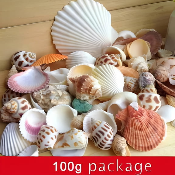 ACDANC 2026 New 100G Aquarium Beach Nautical Diy Shells Mixed Bulk Fashion Shell Sea Shells for Aquarium, Crafts, Decorations, Diy Projects, Terrariums, Home Decor