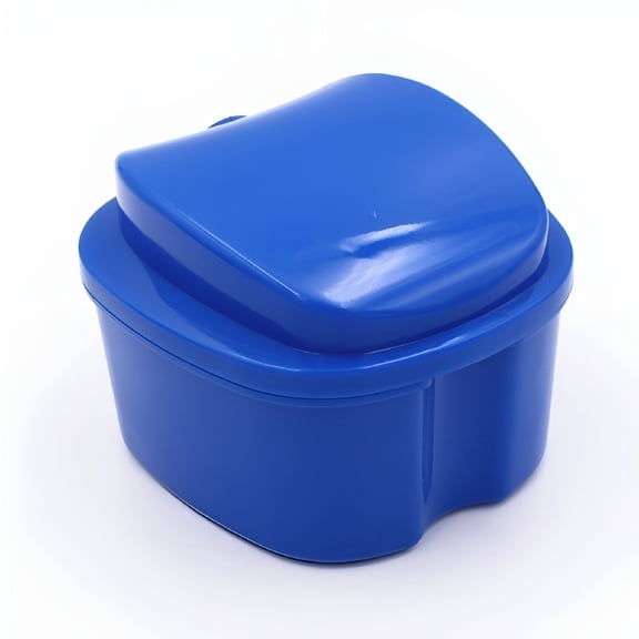 ACDANC 2026 New 1Pc Denture Storage Box Case Cleaning Dental False Teeth Mesh Organizer Container for Home, Travel, Dental Office