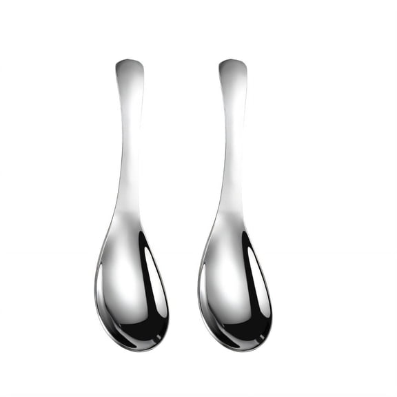 ACDANC 2026 New 2 Pcs Spoons Precision Crafting Soup Spoon Stain Resistant Surface Ladle Spoon for Kitchen Dining Soup Stirring Style 2