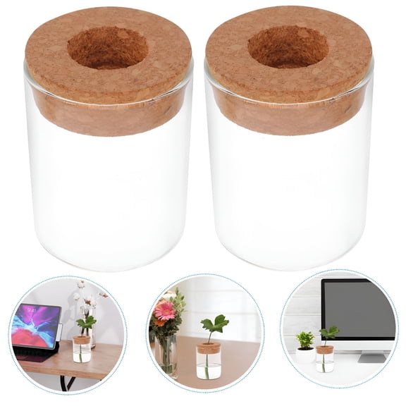 ACDANC 2026 New 2Pcs Glass Plant Terrarium Jar Plant Propagation Station Tabletop Succulent Planter Candy Cookie Jar Cute Canister Round Fish Bowl Vase Sealed Bottles Vial with Cork Top for Craft