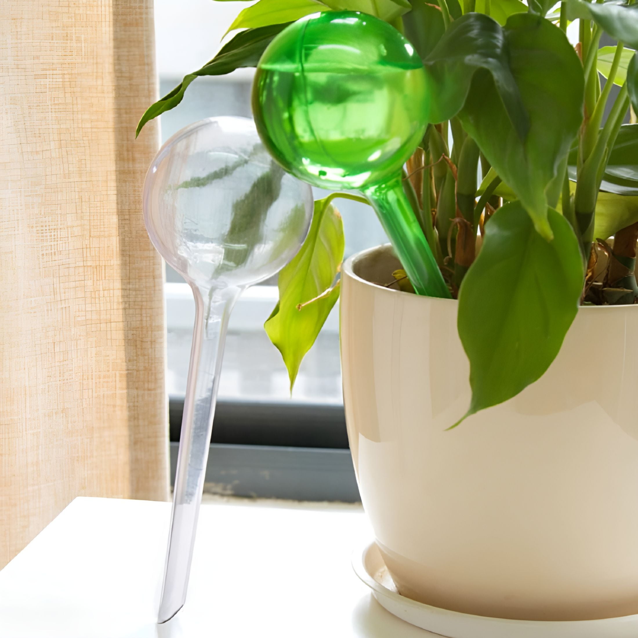 ACDANC 2026 New Automatic Watering Device Globes Vacation Houseplant ...