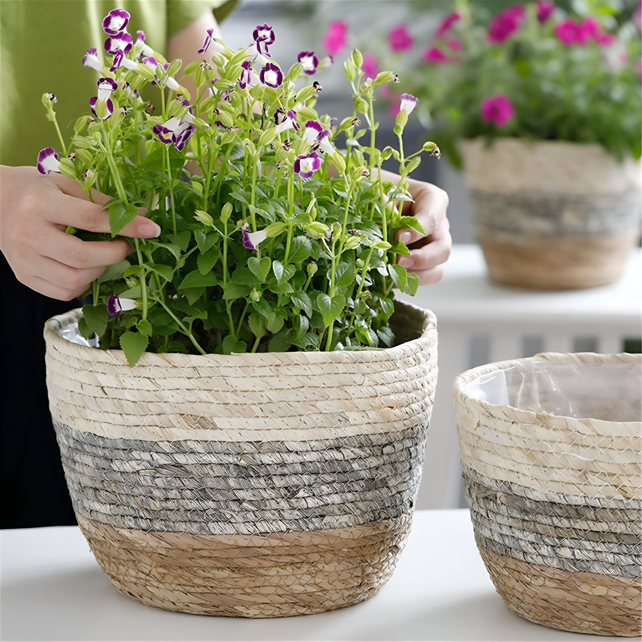 Geometry Pot ACDANC 2026 New Basket Planters,Geometry Planter Flower Pot Indoor ...