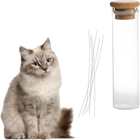 ACDANC 2026 New Cat Whisker Jar,Cat Whisker Collector,Transparent Glass Cat Whisker Vase,Pet Keepsake Box,Loss of Cat Sympathy Gift for Cat Memory Display Keepsake Collecting