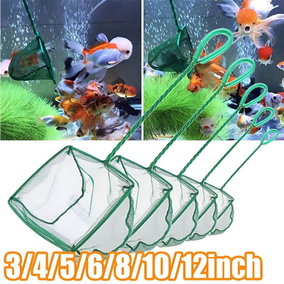 ACDANC 2026 New Fine Mesh Fish Net for Fish Tank - Aquarium Net Scoop, Aquarium Fish Skimmer Net with Plastic Handle for Catching Small Fish, Shrimp, Aquatic Plants - 3/4/5/6/8/10Inch