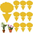 thumbnail image 1 of ACDANC 2026 New Fruit Fly Traps for Indoors,Sticky Traps for Gnats Fly Repellent for Outdoor for Indoor,Garden,Patio 10-Pieces, 1 of 7