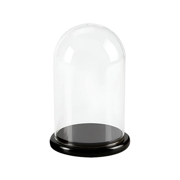ACDANC 2026 New Glass Dome Cloche Clear Glass Jar Dome Display Tabletop Centerpiece with Base for Cake Flower Bell Terrariums Air Covers for Kitchen, Dining, Living Room, Wedding 60X90Mm