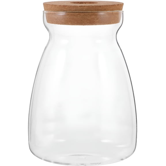 ACDANC 2026 New Glass Plant Jar Plants Propagation Station Desktop Hydroponic Jar with Cork Lid Micro Landscape Terrarium Container for Betta Fish Plants Terrarium for Home, Office, Garden
