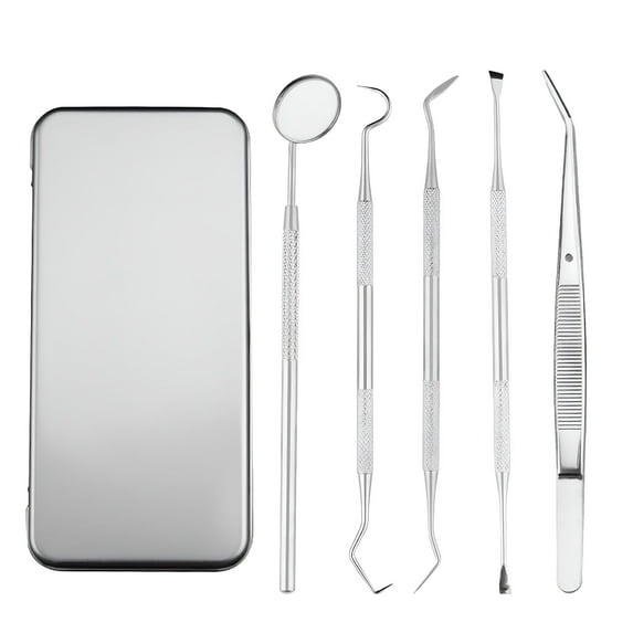 ACDANC 2026 New Metal Tooth Picking Tool Stainless Steel Toothpick Portable Oral Tooth Cleaning Tool Set for Home, Travel, Office, Outdoor
