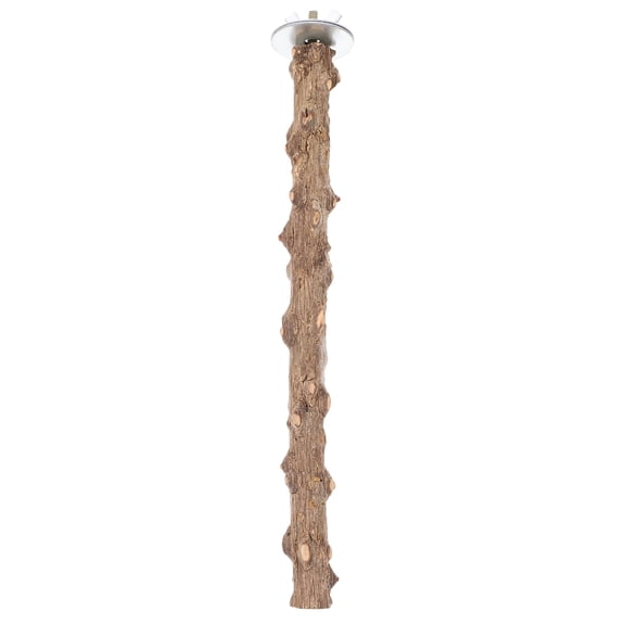 ACDANC 2026 New Natural Parrot Perch Bird Stand Pole Paw Grinding Parakeet Perch Standing Branch for Cage,Aviary,Balcony,Indoor