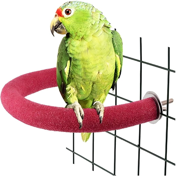 ACDANC 2026 New Parrot Perch Stand, U Shape Quartz Sands Bird Stick Paw Grinding Rough-Surfaced Perches for Small Medium Birds - Cockatiel Lovebird Conure African Grey