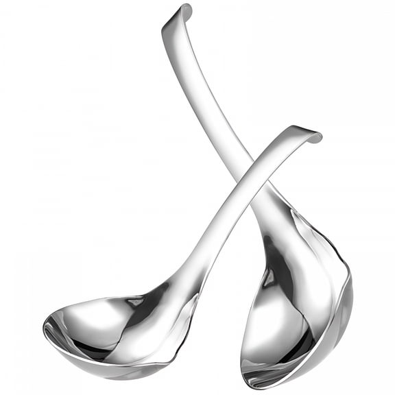 ACDANC 2026 New Soup Serving Spoon Thick Food Ladle Stainless Steel Sauce Gravy Utensils Kitchen Multifunction 2 Pcs for Kitchen, Dining, Restaurant, Cafe, Buffet