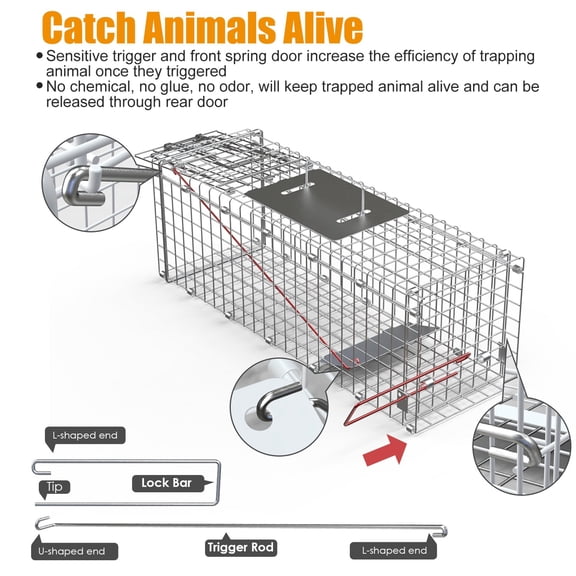 ACDANC 24" Humane Live Animal Trap Cage Catch and Release Heavy Duty Squirrel Trap Folding Raccoon Trap with Safe Carrying Handle for Squirrel Rabbits Raccoons Cats