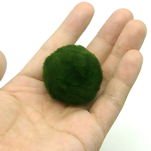 ACDANC 3-4cm Marimo Moss Balls Live Aquarium Plant Algae Fish Shrimp Tank Ornament Simulation Green Algae Balls Artificial Plant