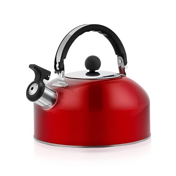 BPPEG 3L Whistling Tea Kettle, Colorful Spherical Stainless Steel Stovetop Kettle