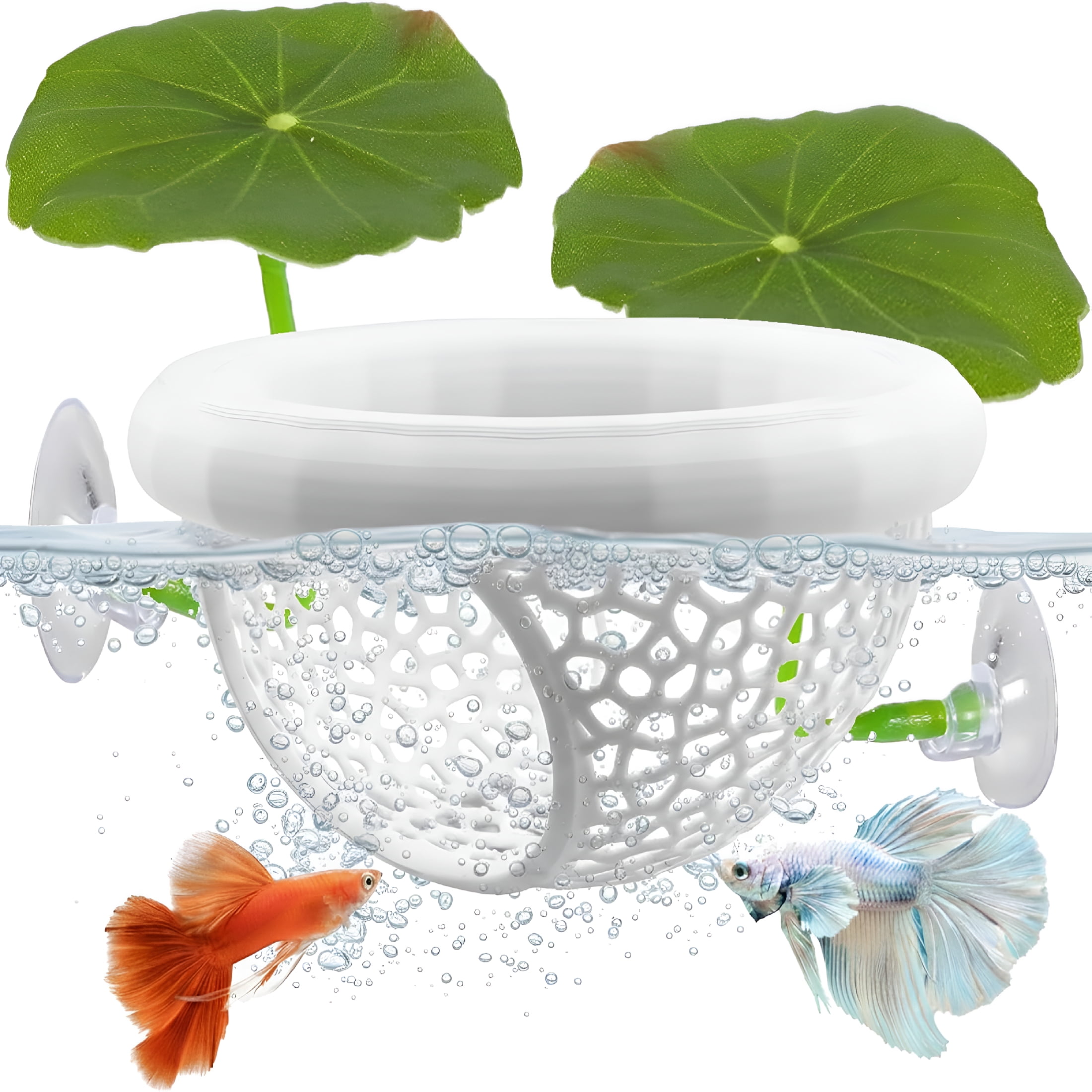 ACDANC 3PCS Floating Hammock Cave & Feeder Ring 3D Printed Aquarium ...