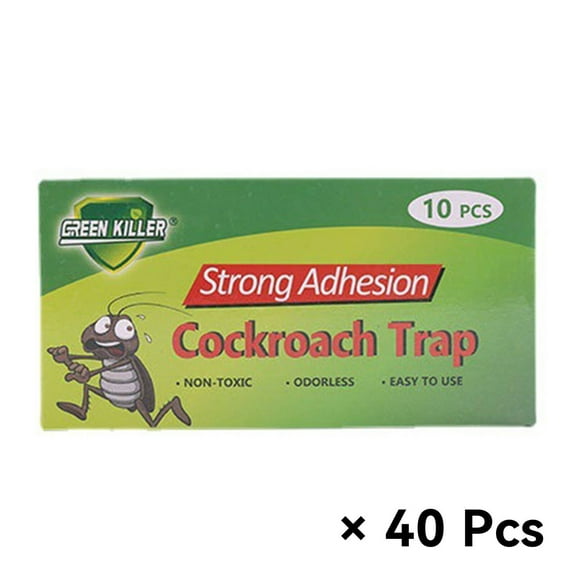 ACDANC 40Pcs Fruit Fly Traps for Indoors Pheromone Bait Fruit Fly Trap Dust-Proof Design Fungus Gnat Trap,Green